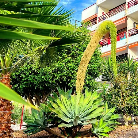 Apartmán Paulmarie Olympia