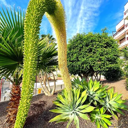Paulmarie Olympia Apartmán Playa de las Americas (Tenerife)